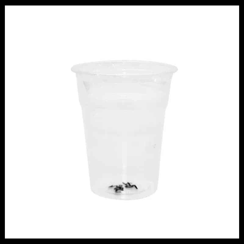 Pahare de plastic 300ml Frappe 50 buc/set Transaprent  PP